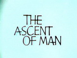 Image for The Ascent of Man